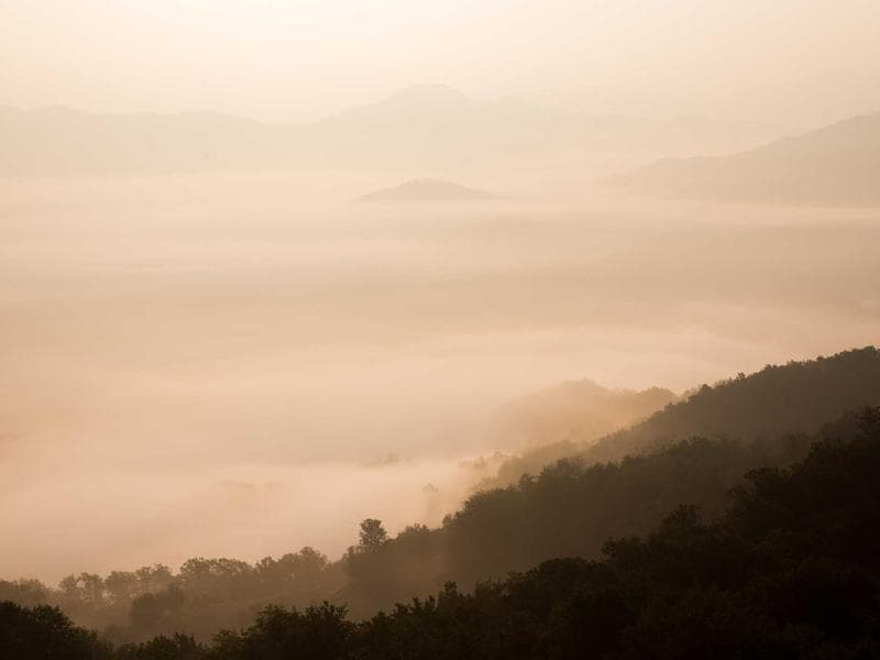 AI Startup Landing Page